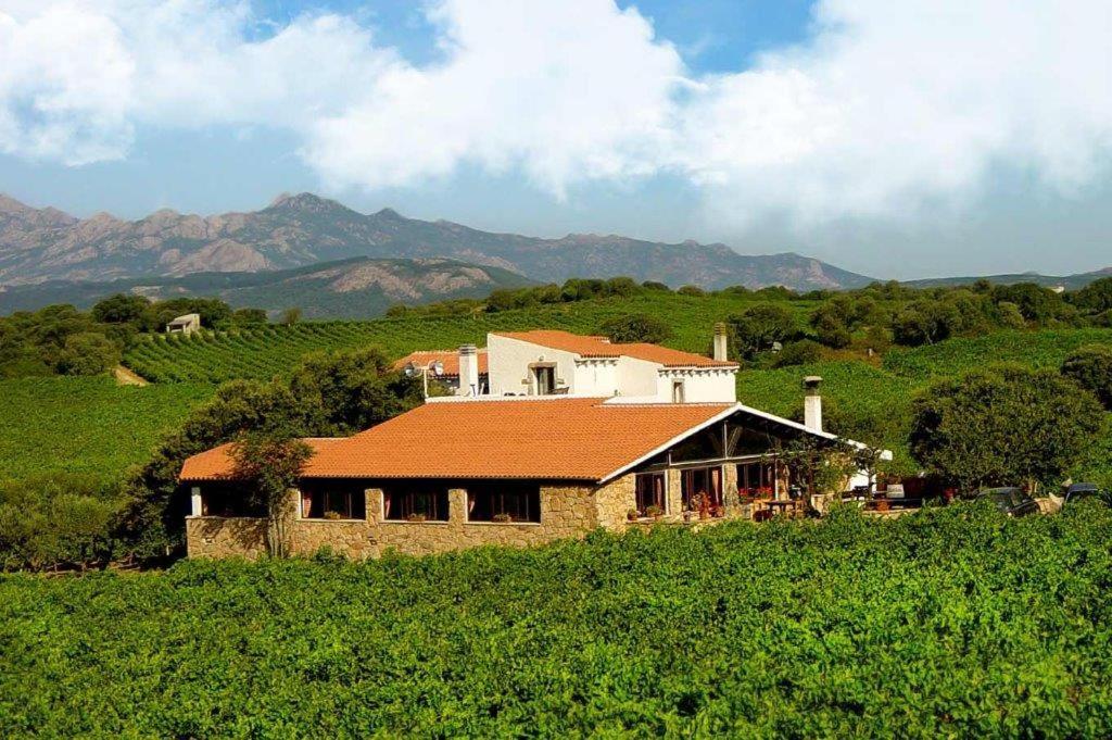 Agriturismo Vermentino Монти Экстерьер фото