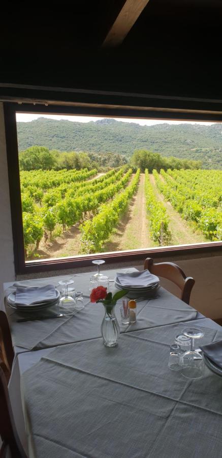 Agriturismo Vermentino Монти Экстерьер фото
