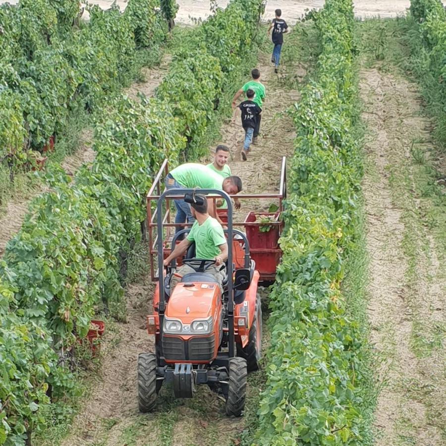 Agriturismo Vermentino Монти Экстерьер фото