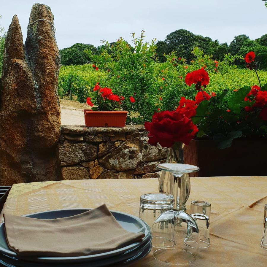 Agriturismo Vermentino Монти Экстерьер фото